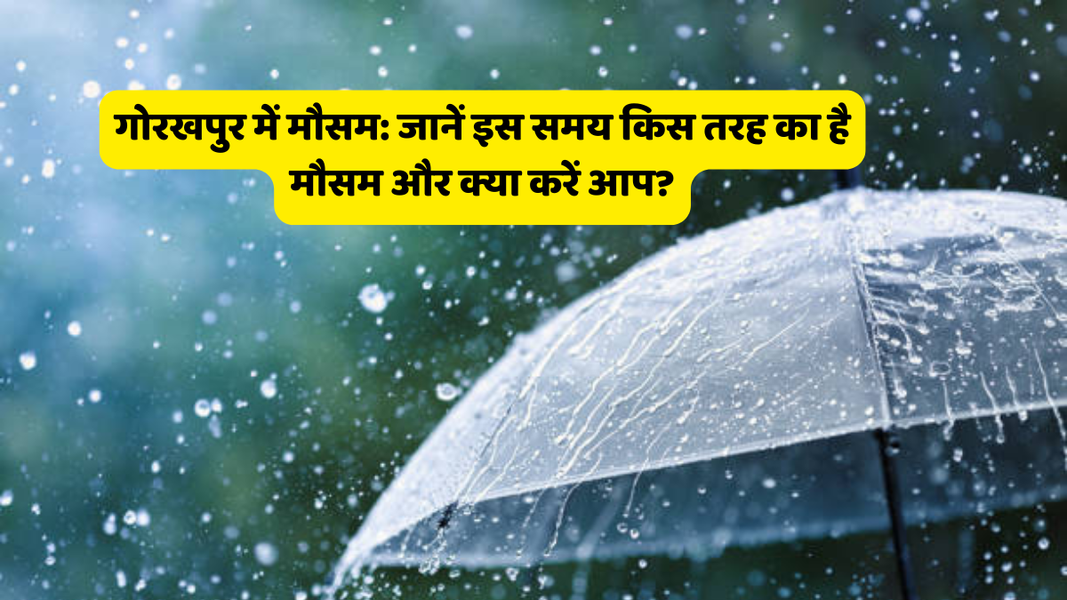 Weather