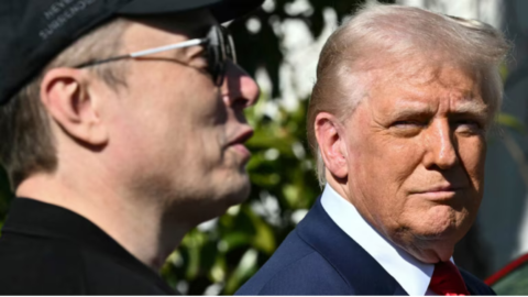 Trump tariff pause