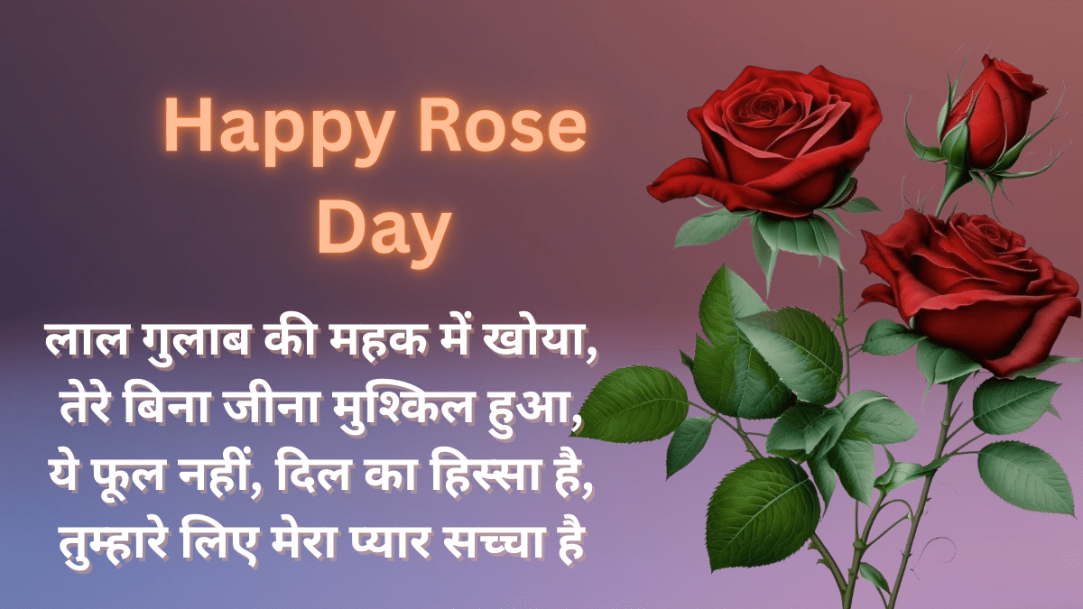 Rose Day 2026