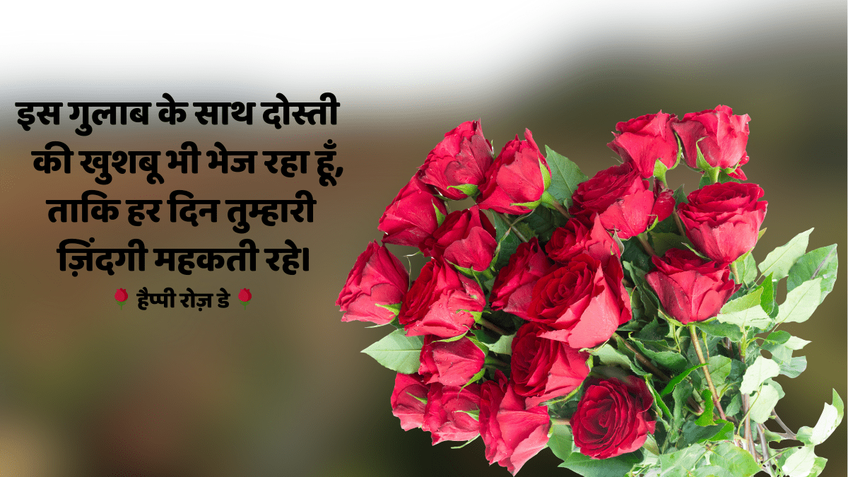 इस गुलाब के साथ