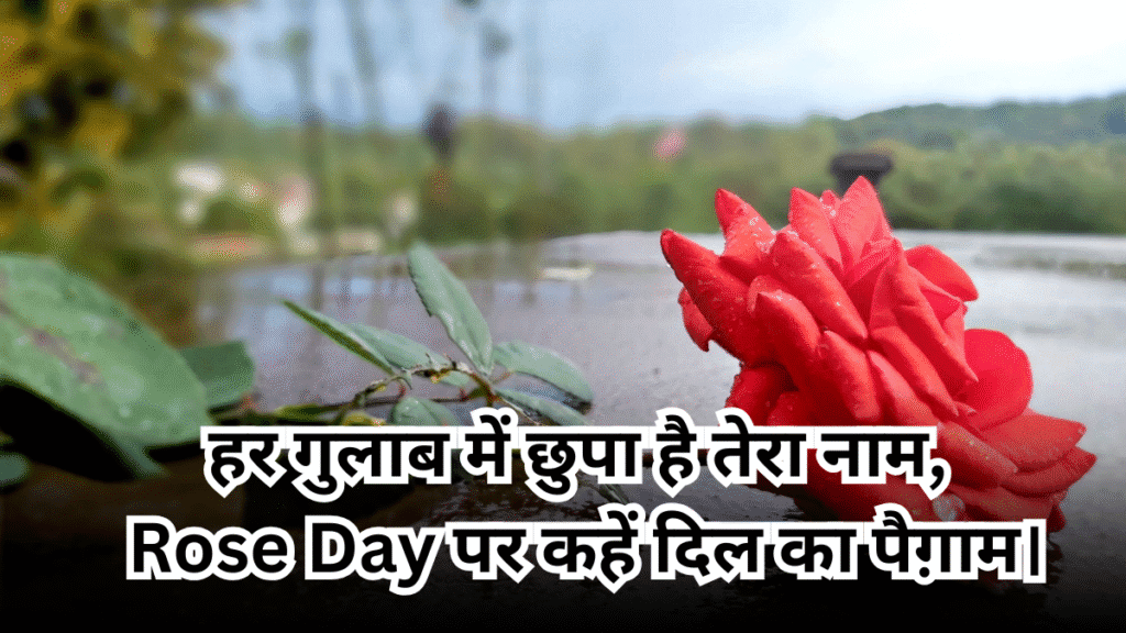 Rose Day 2026 Special