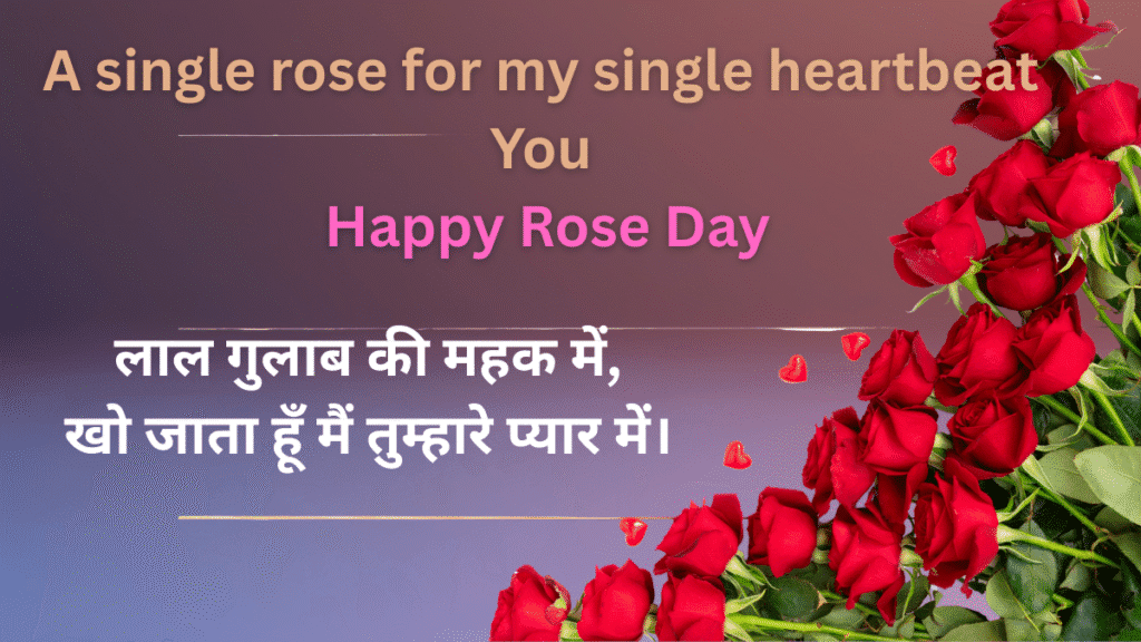 Rose Day 2026