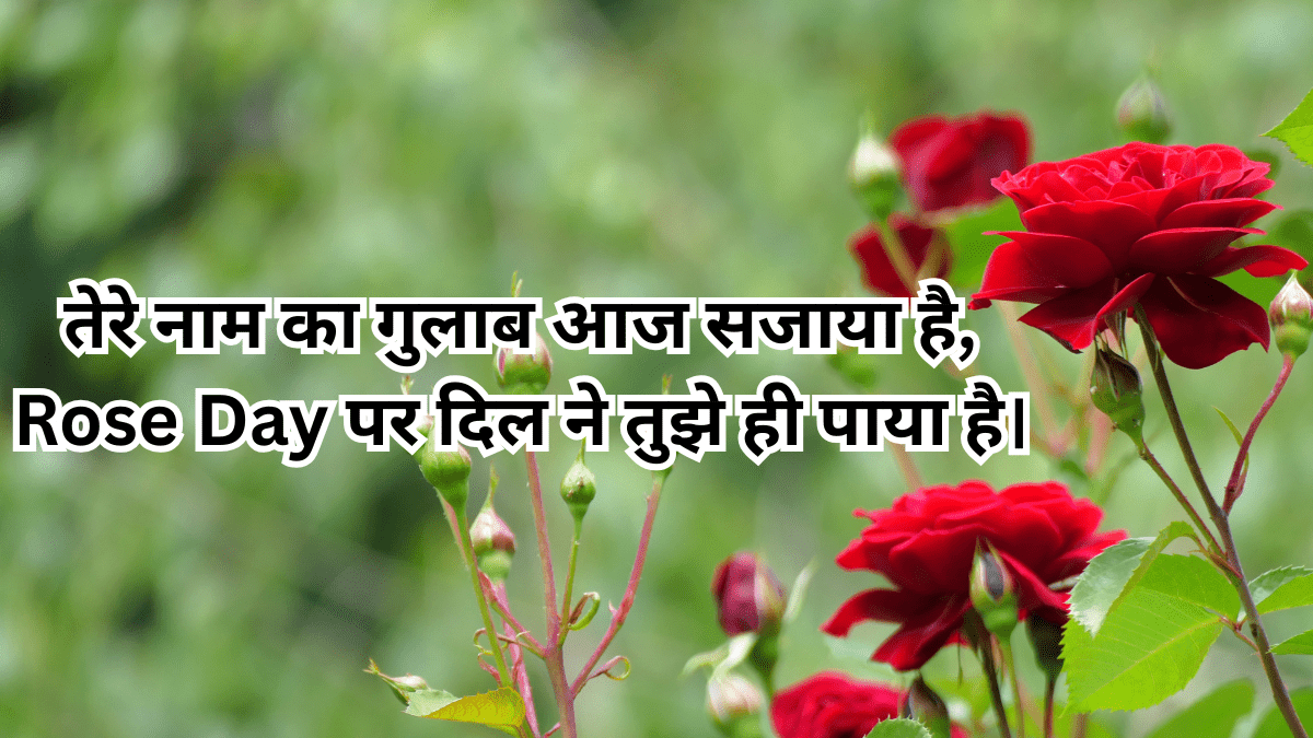 Rose Day 2026 Special